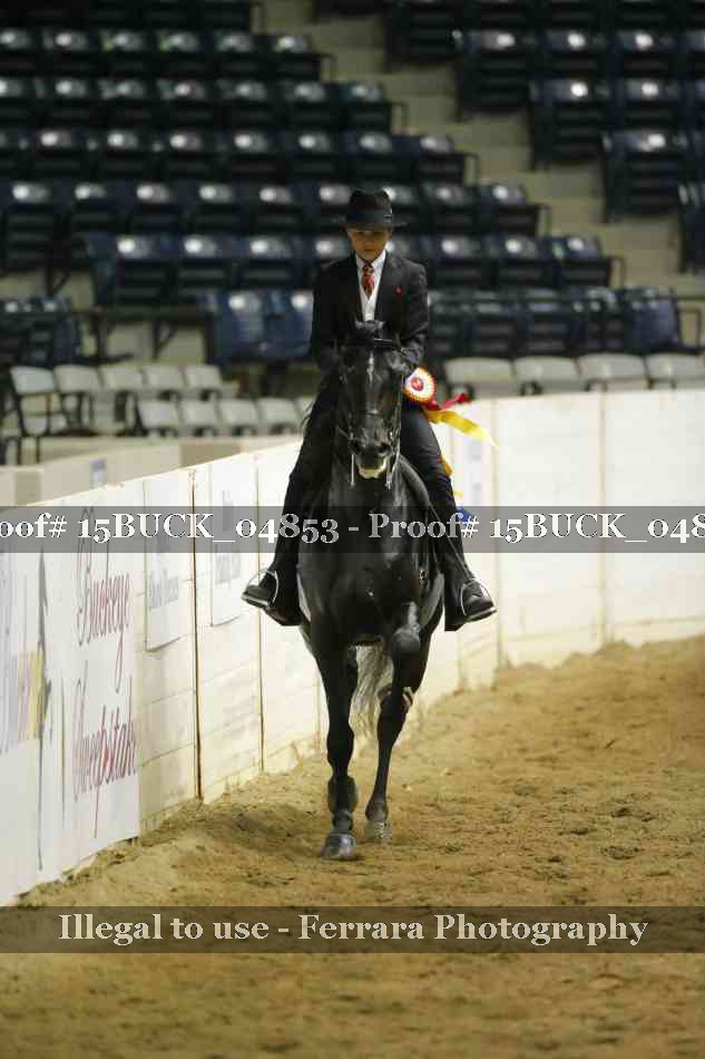 Proof 15BUCK_04853