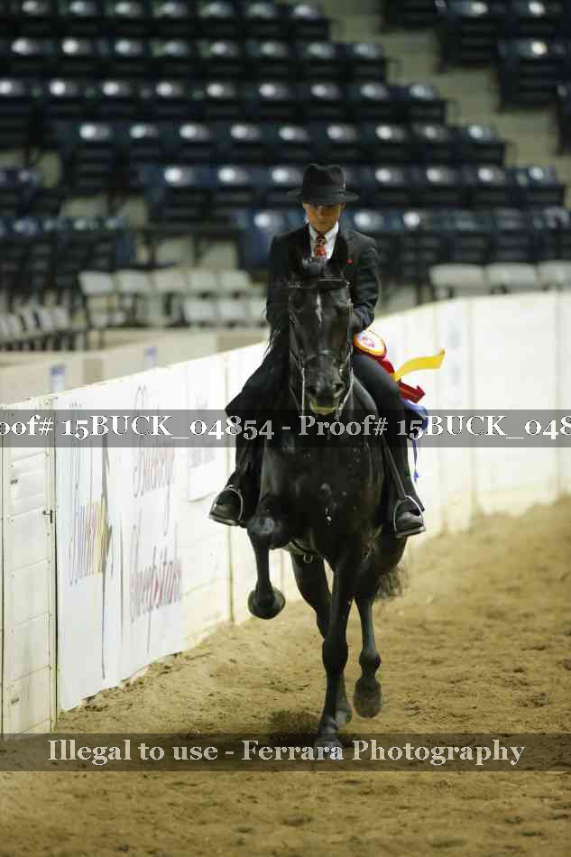 Proof 15BUCK_04854