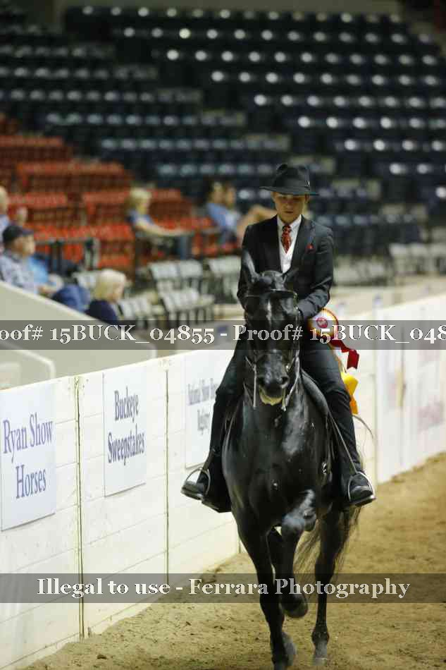 Proof 15BUCK_04855