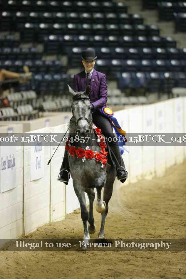 Proof 15BUCK_04857
