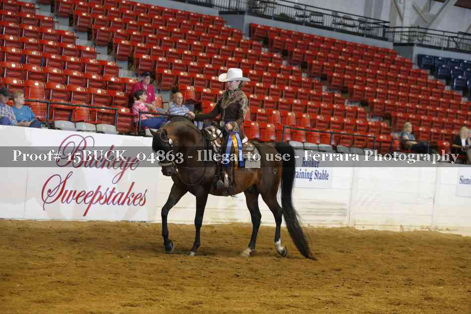 Proof 15BUCK_04863