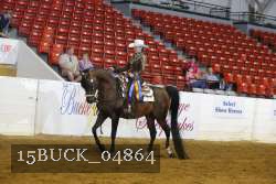 15BUCK_04864 proof
