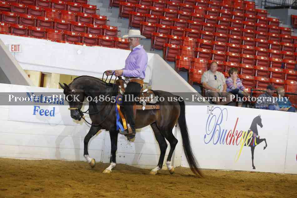 Proof 15BUCK_04865