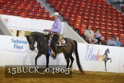 15BUCK_04865 proof