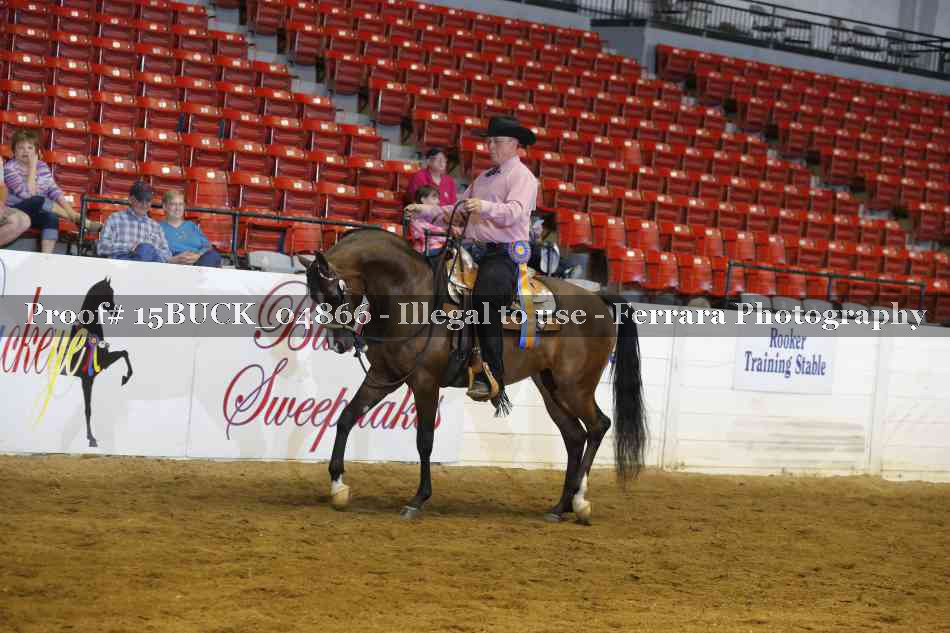 Proof 15BUCK_04866