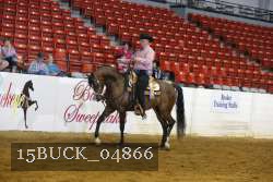 15BUCK_04866 proof