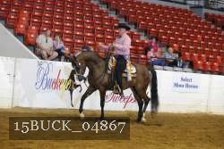 15BUCK_04867 proof