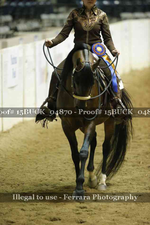 Proof 15BUCK_04870