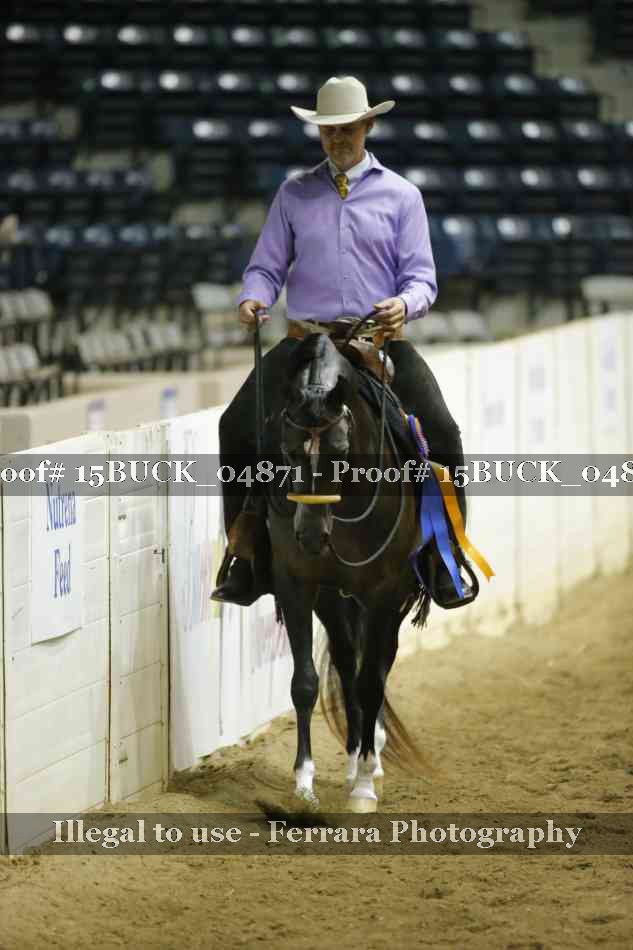 Proof 15BUCK_04871