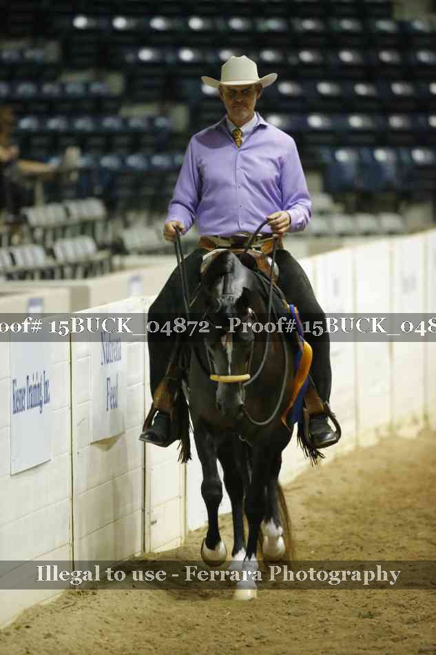 Proof 15BUCK_04872