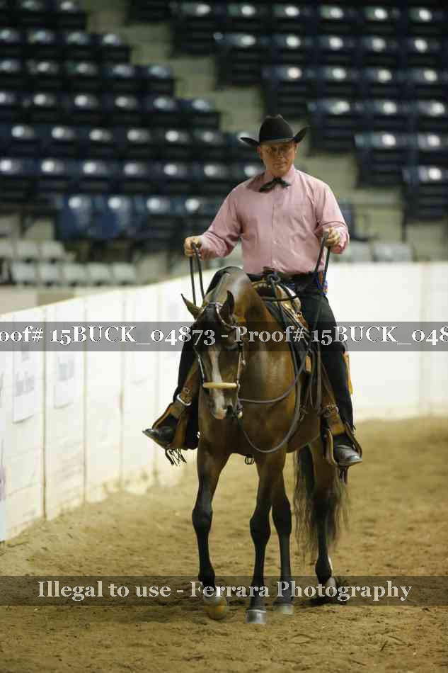 Proof 15BUCK_04873