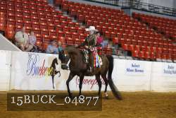 15BUCK_04877 proof