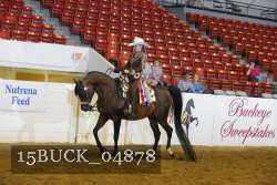 15BUCK_04878 proof