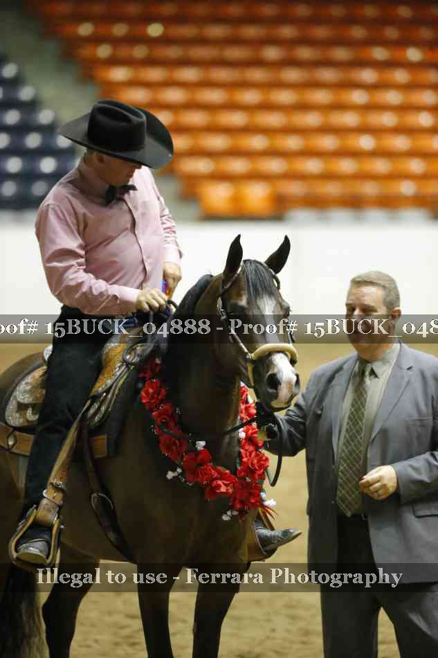 Proof 15BUCK_04888