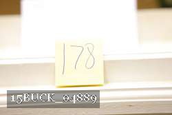 15BUCK_04889 proof