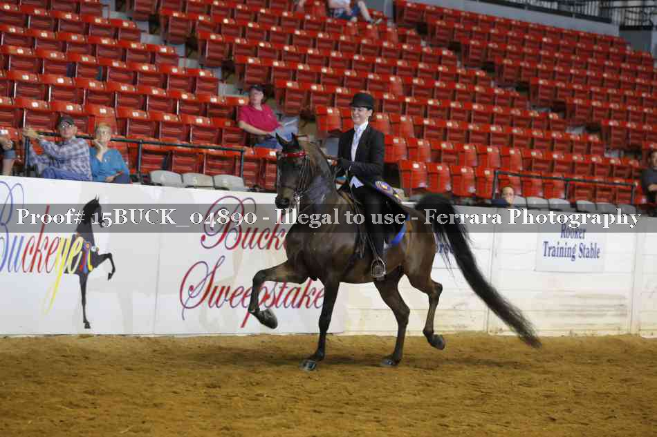 Proof 15BUCK_04890