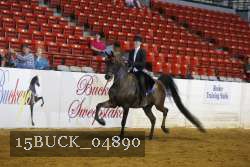 15BUCK_04890 proof