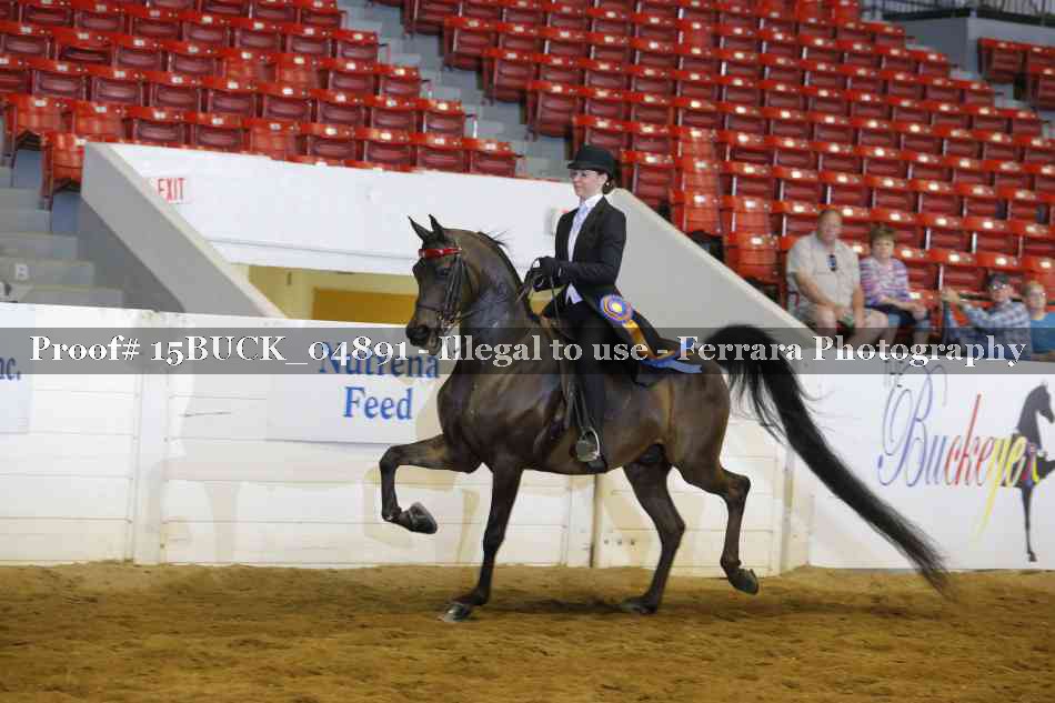 Proof 15BUCK_04891