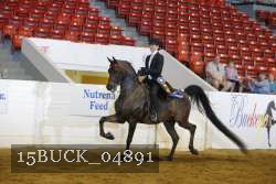 15BUCK_04891 proof