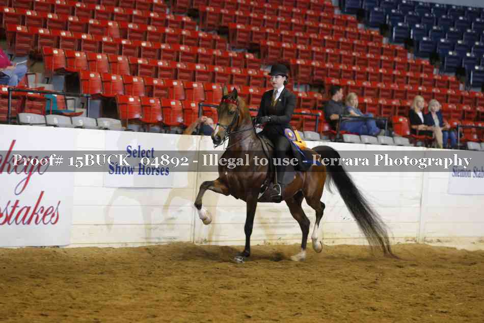 Proof 15BUCK_04892