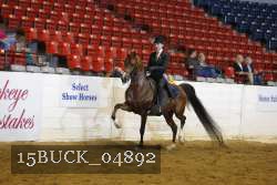 15BUCK_04892 proof