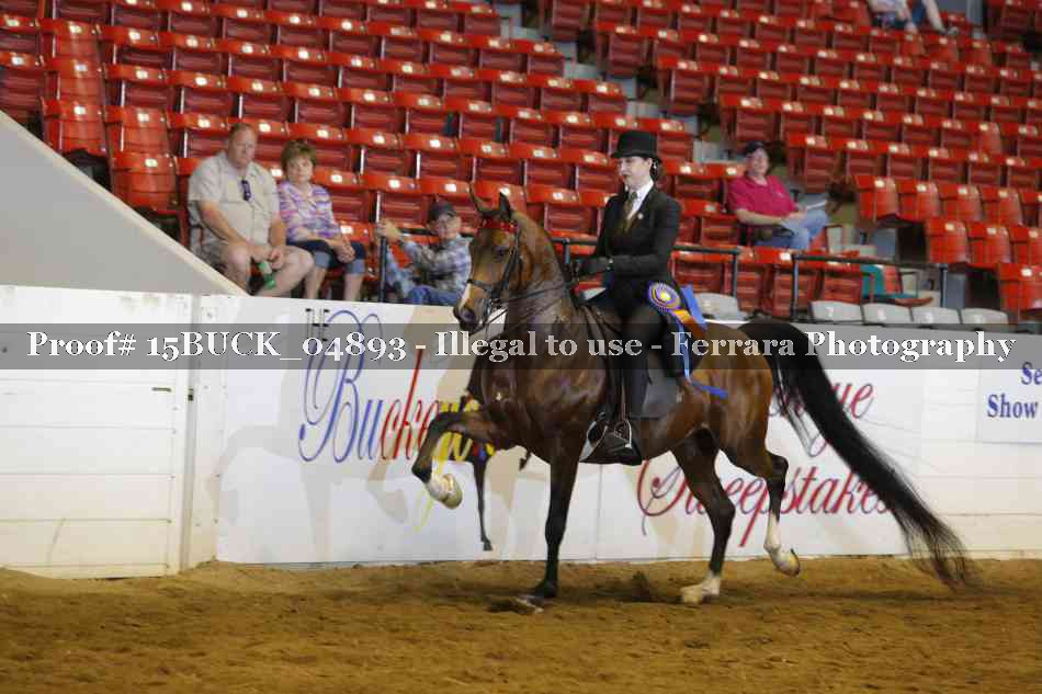 Proof 15BUCK_04893