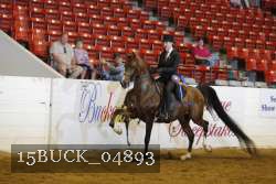 15BUCK_04893 proof