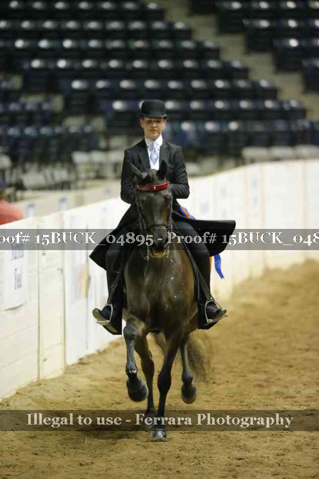 Proof 15BUCK_04895
