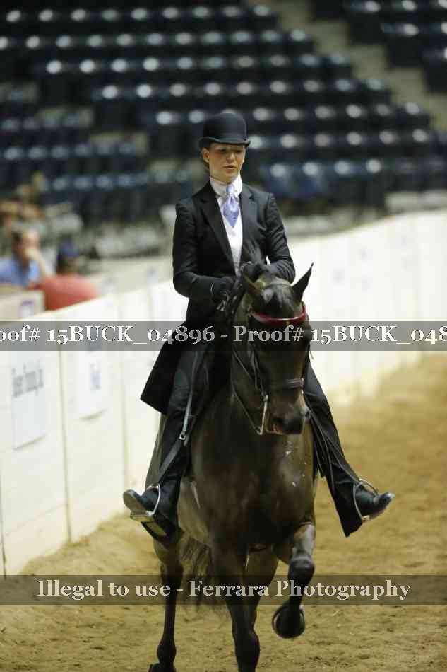 Proof 15BUCK_04896