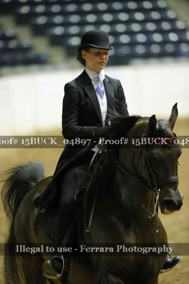 Proof 15BUCK_04897