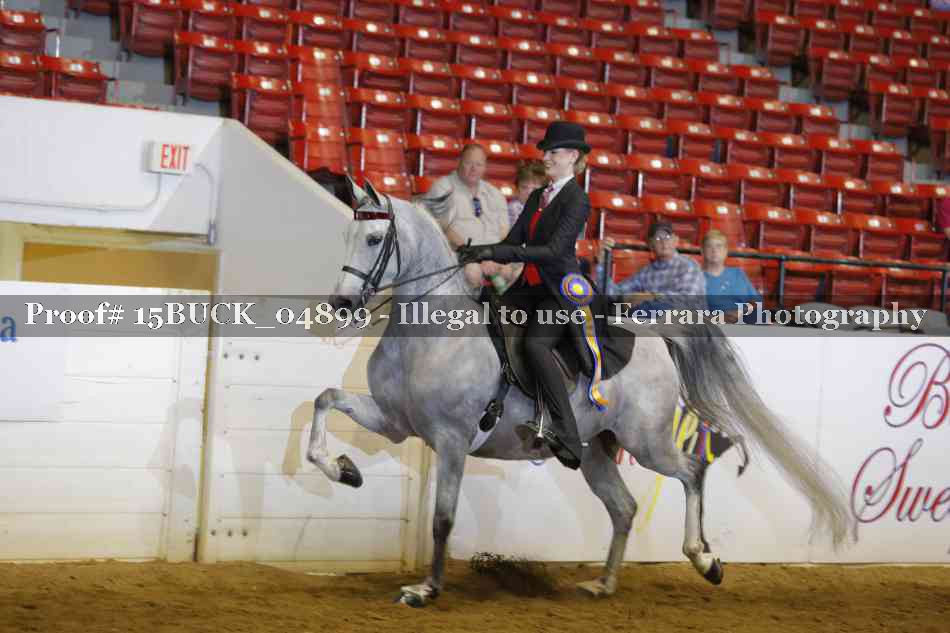Proof 15BUCK_04899