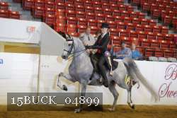 15BUCK_04899 proof