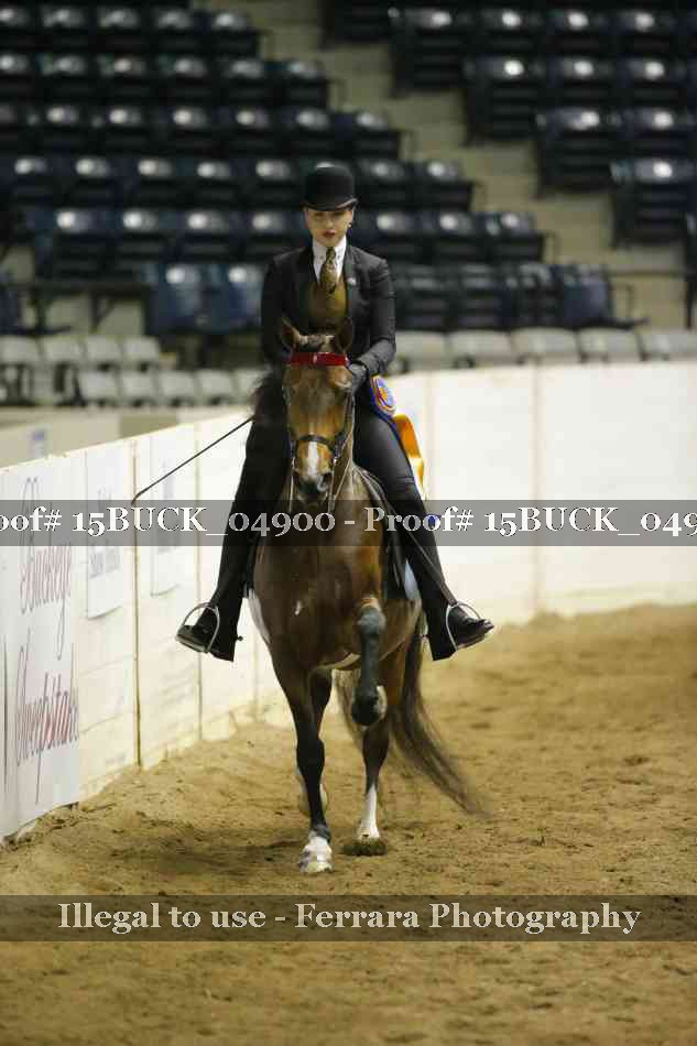 Proof 15BUCK_04900
