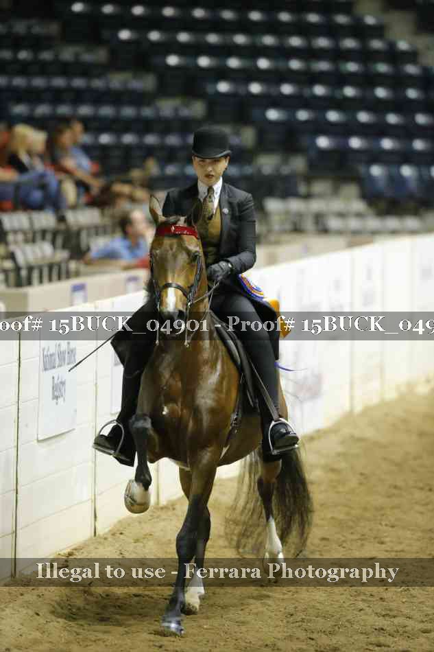 Proof 15BUCK_04901