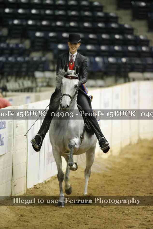 Proof 15BUCK_04903
