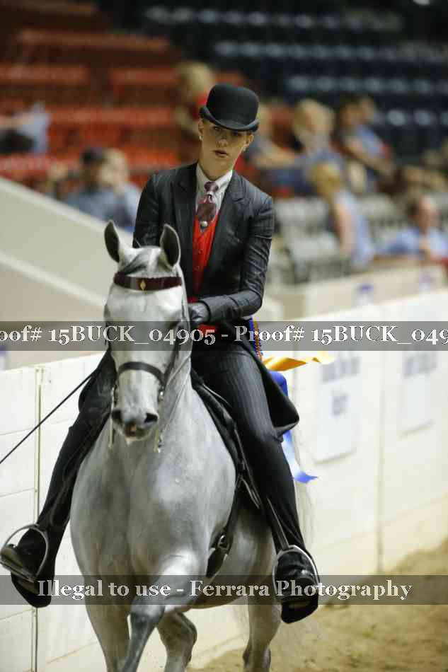 Proof 15BUCK_04905