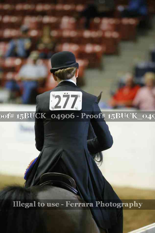 Proof 15BUCK_04906