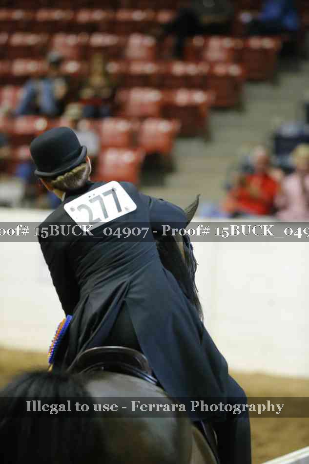 Proof 15BUCK_04907