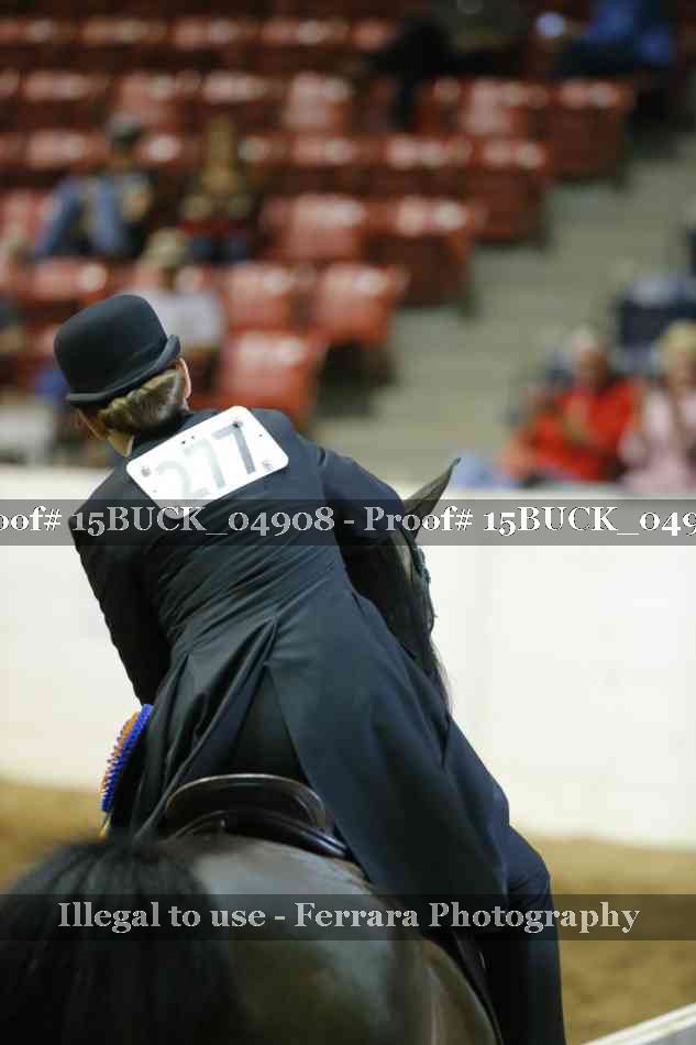 Proof 15BUCK_04908