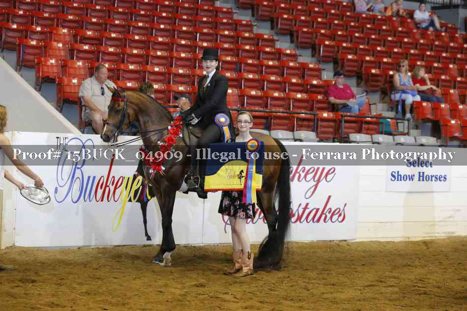 Proof 15BUCK_04909