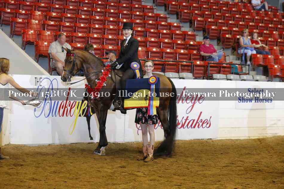 Proof 15BUCK_04910