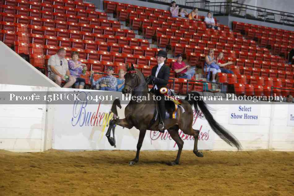Proof 15BUCK_04911