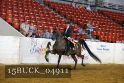 15BUCK_04911 proof
