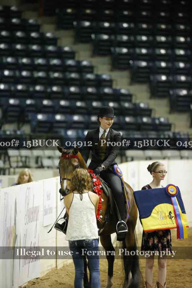 Proof 15BUCK_04912