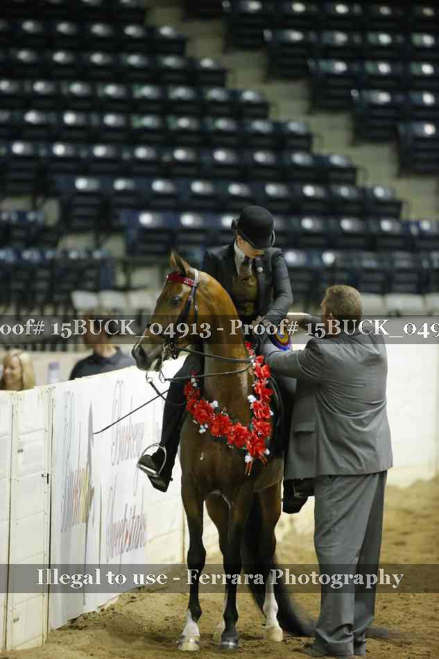 Proof 15BUCK_04913