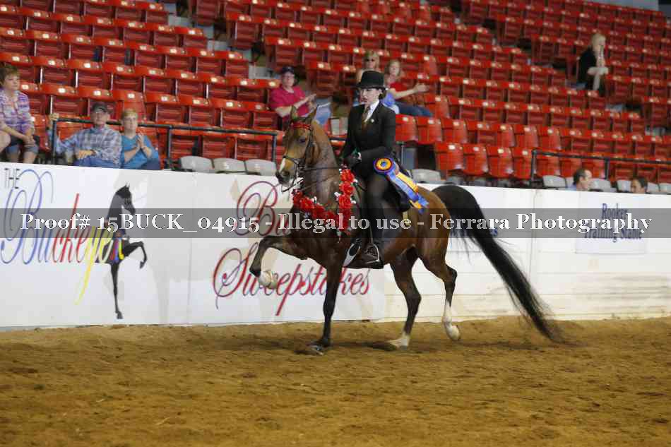 Proof 15BUCK_04915