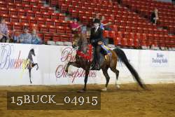 15BUCK_04915 proof
