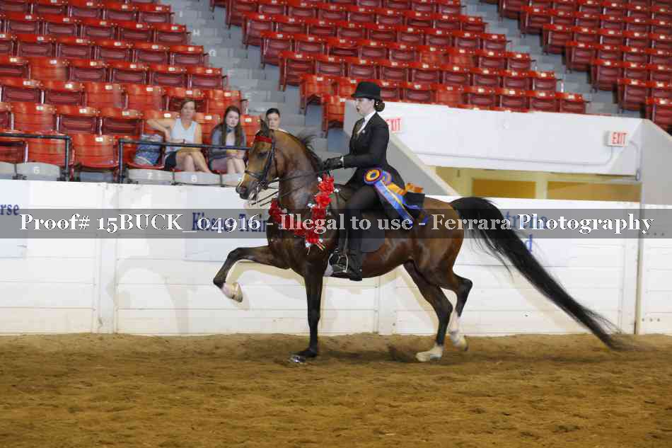 Proof 15BUCK_04916