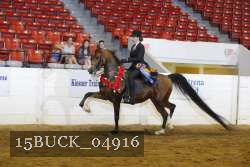 15BUCK_04916 proof