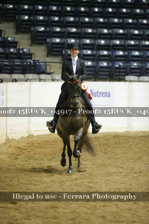 Proof 15BUCK_04917